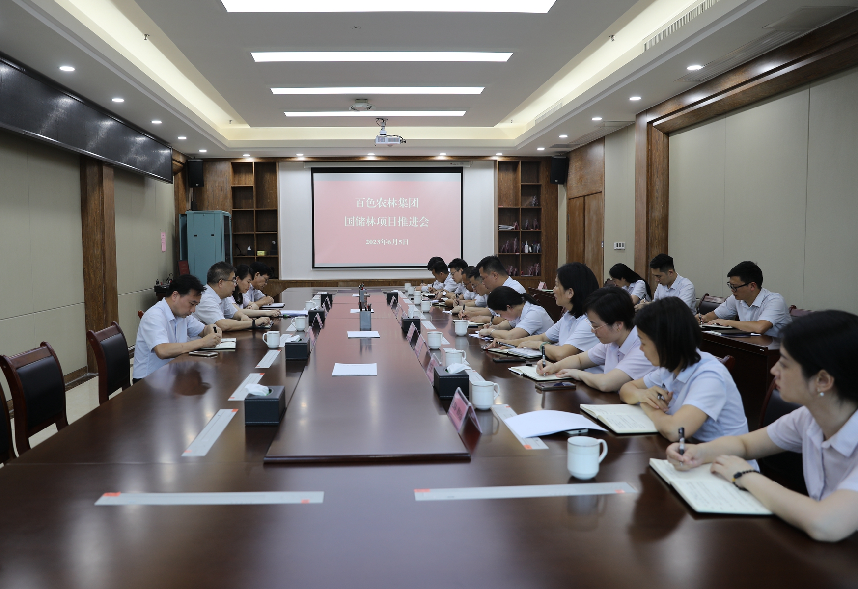 集团公司召开国储林项目推进会