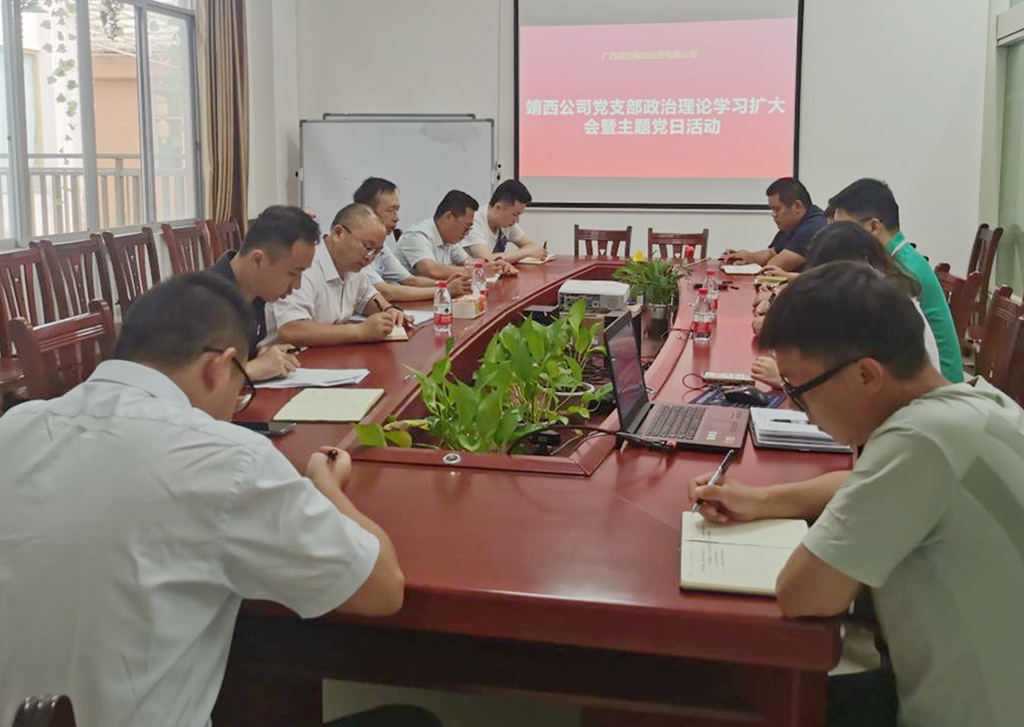 靖西公司党支部召开政治理论学习扩大会暨主题党日运动