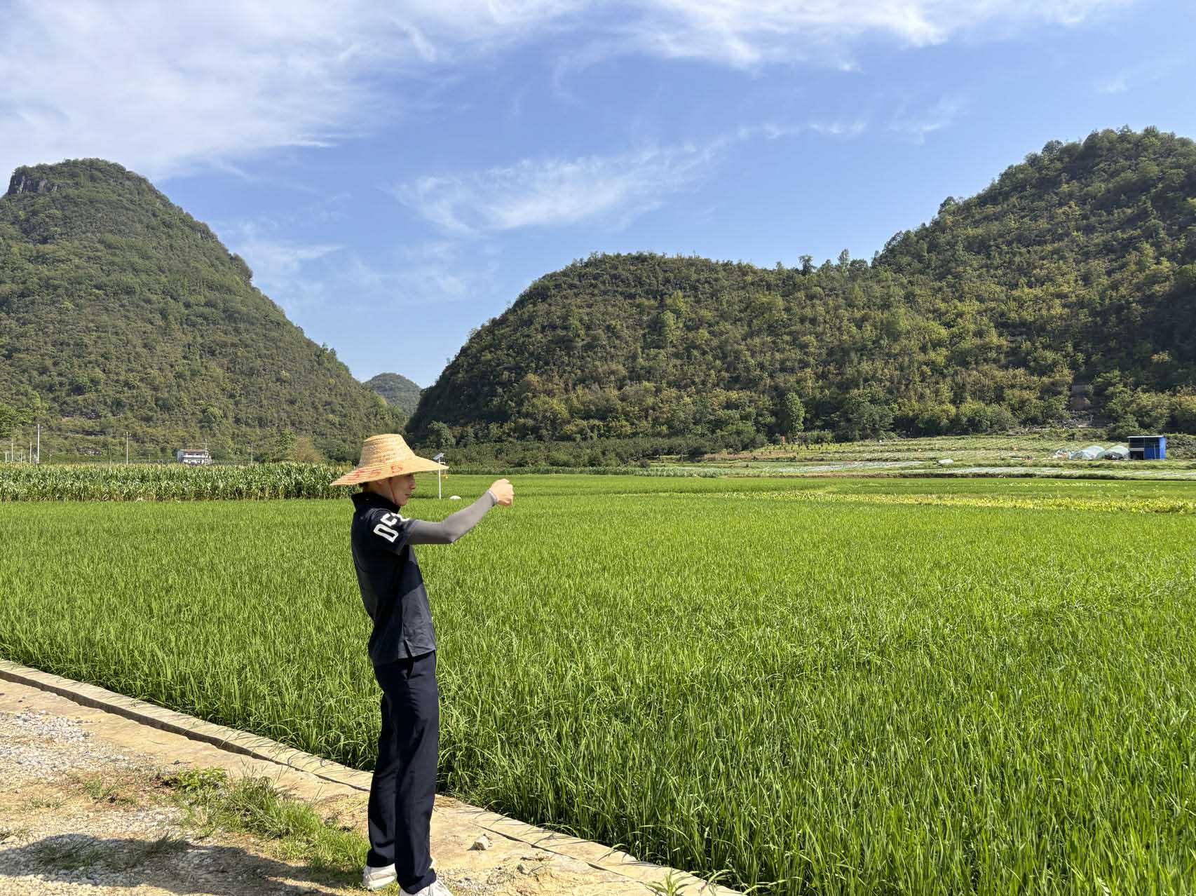 田阳福琨公司开展耕地提质刷新（旱改水）项目现场巡查事情