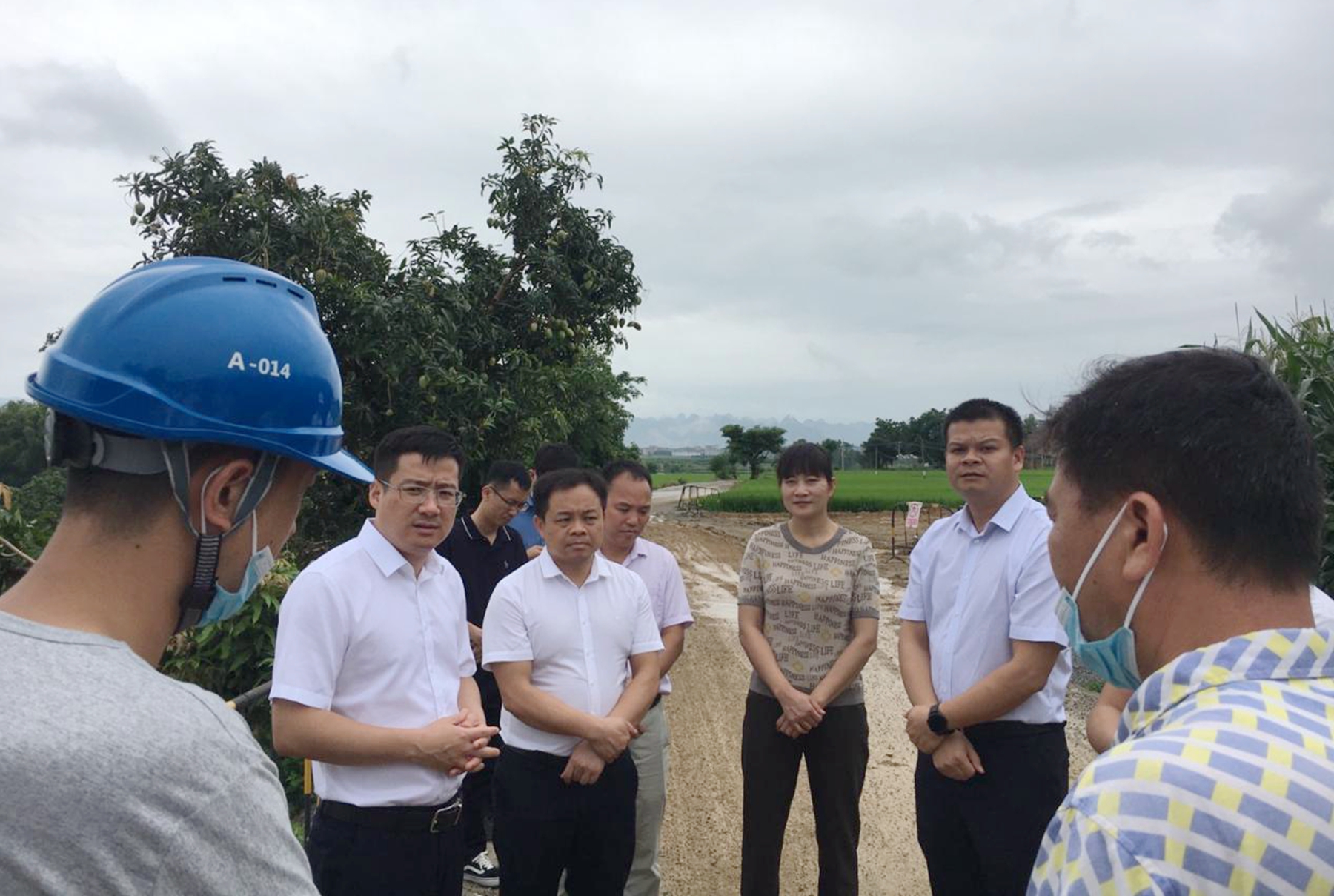 田阳区向导到耕地提质刷新项目调研