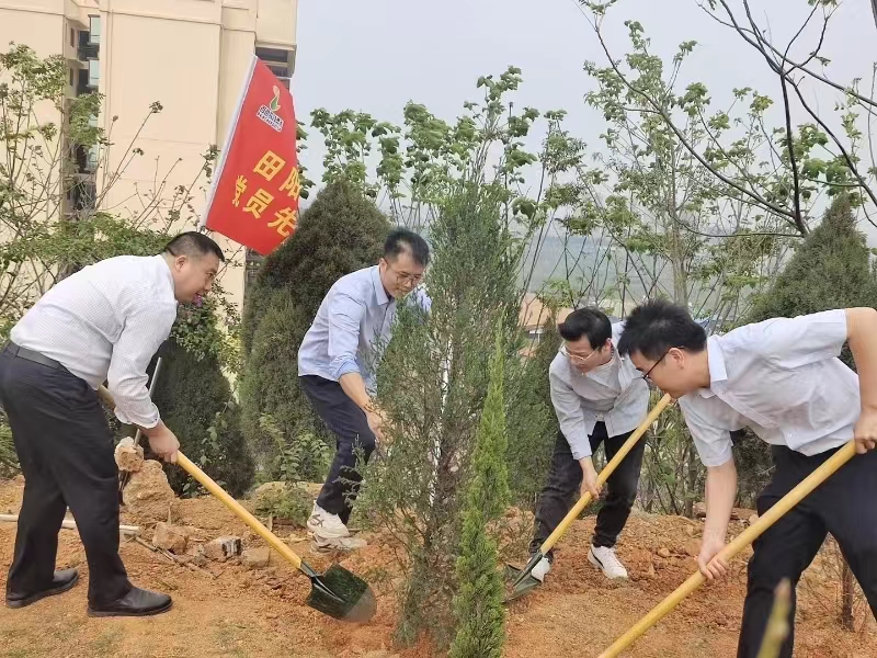 携手培土植树